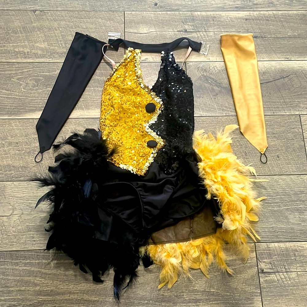 Dance costume